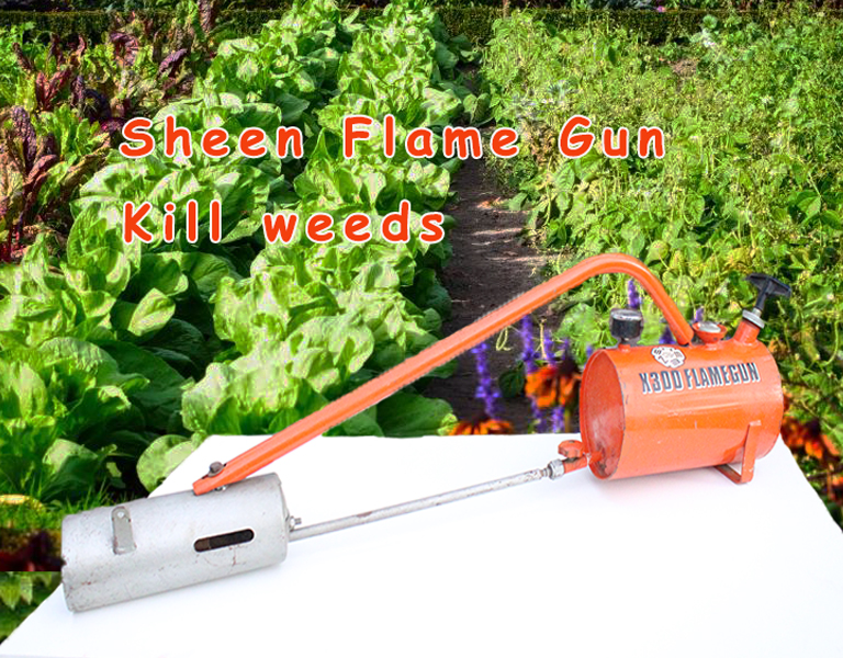 Sheen Flame Gun Machine